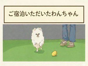 ぺろにお泊まりいただいた、わんちゃんをご紹介します。