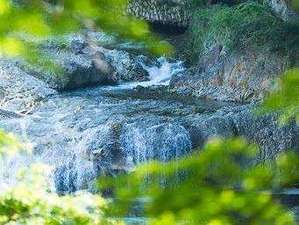 �Y��ȉF�A��̗���