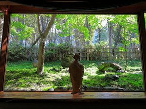 100年前から使われているソファーに座りながら日本庭園をお楽しみいただけます。
