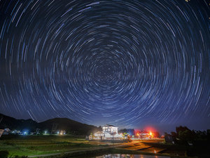 �y�O�ρz���_�̐���̉��ɘȂޏh�B�厩�R�ɕ�܂�āA���킩�痣�ꂽ�����̗���