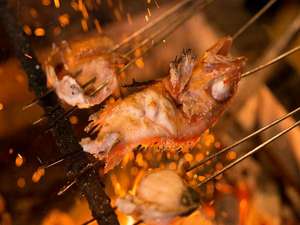 �y�C�N�Y�Ώāz�Ă����Ă����񋟒v���܂�