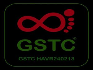 GSTC�F��Global Sustainable Tourism Council® �z�e���ƊE� Ver.3 - 2016