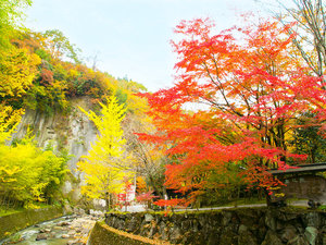 【外観/田の原川】黒川の温泉街から少し離れ、静かな山間と田の原川沿いにひっそりと佇む『黒川荘』。
