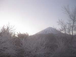 樹氷の向こうには富士山冬の寒い朝は幻想的です。