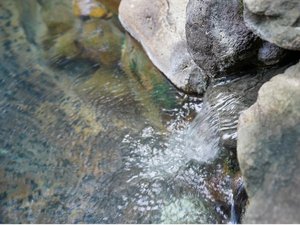 �y�I�V���C�z��̎��ƌ���œ��ʂ��L�x�ł�