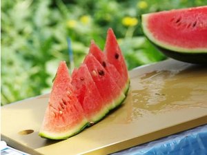 ��GW���T�� ���̎�������ԊÂ��Ă����������A�؂̃X�C�J�����p�ӂ��Ă��҂����Ă��܂��I