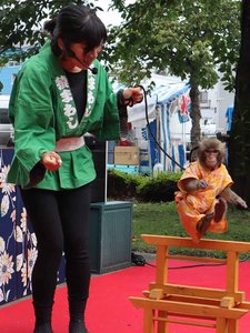 日本伝統芸能【猿まわし】宿泊者限定特別公演!