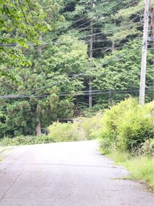 木々に囲まれた別荘地