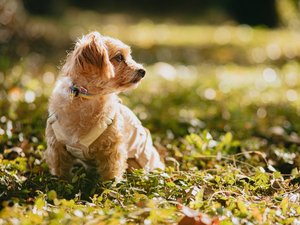 �j�`�q�d�m�@�݂Ȃ��݁@�����݂̗��@���������@�c�����̎{�ݎʐ^1