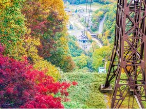真っ赤になっている紅葉がとても綺麗です!黒岳ロープウェイ・リフト