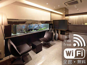  Wi-Fi iSفj