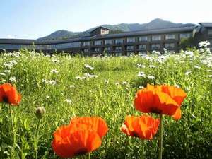 四季折々の花々に彩られるフラノの旅