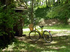 木陰の自転車