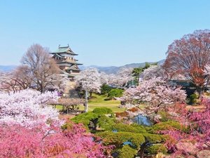 春の高島城<画像提供 諏訪市>