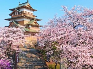 春の高島城<画像提供 諏訪市>