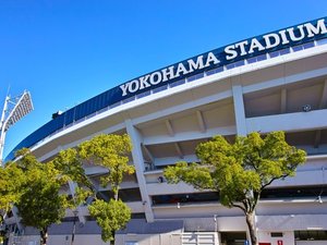 【当館から徒歩2分】横浜DeNAベイスターズの本拠地で、野球観戦を楽しめる「横浜スタジアム」