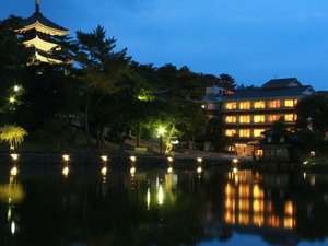夜は幻想的な雰囲気に。