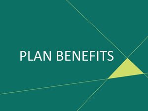 PLAN BENEFITS