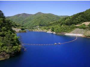 �y���l���΁z���ق���ԂŖ�T���ق�