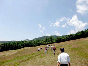 那須のスキ−場>夏に散歩、清々しい。