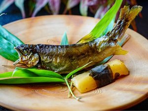 ◇三楽園会席◇26秋 焼物「生粋の庄川鮎(子持ち)」(10月初旬まで)