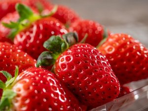 【春のいろどり旬彩フェア】いちご