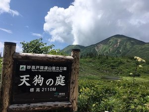 �y�V��̒�z