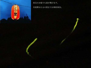 尚文のお庭で「ほたる」が飛びます。