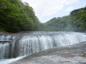 �����̑�@���m�̃i�C�A�K���@���ق��炨�ԂŖ�10��