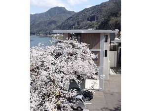 ホテル駐車場 さくら