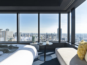 �f���b�N�X�r���[�o�X���C�h�L���O(�C���[�W)