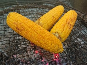 夏の風物詩。地元のとうもろこしを囲炉裏で♪