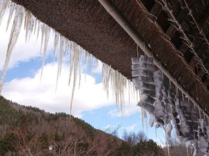毎年大寒のあたりから、お氷餅を作ります。寒さ厳しい信州の食文化です。年度が替わる頃売店で販売します。