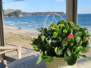 【静岡県の貸別荘・コテージ】ロフト付コテージ「セ・ドンタ」C’est donta