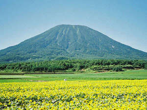夏の羊蹄山