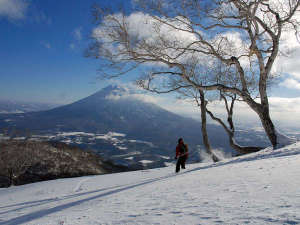 冬の羊蹄山