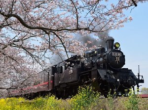 �^���S����SL(�z�e�����Ԃ�60��)