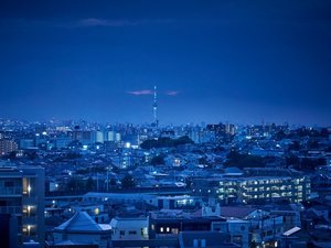 スカイツリーが見える夜景
