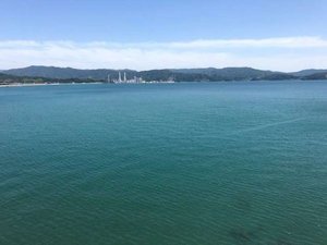 ホテル屋上から望む和歌浦湾♪
