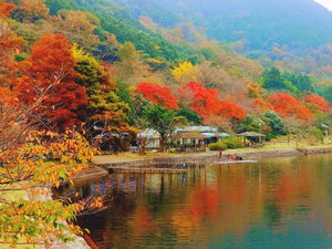 【藺牟田池県立自然公園】秋には紅葉が愉しめる藺牟田池へは当館から車で40分。