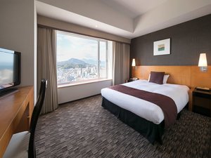 セミダブルルーム 21.8u