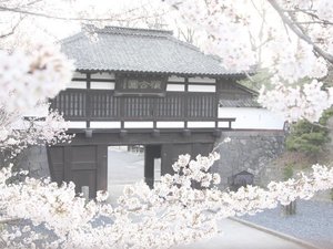 【懐古園】春