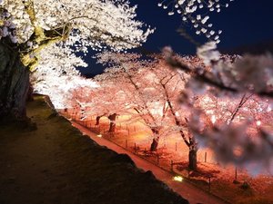 【懐古園】春