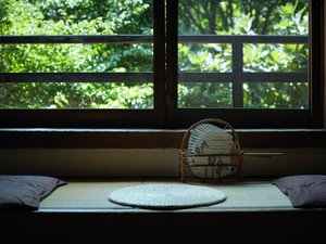 静かな室内から眺める緑の庭