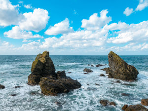 �J�����̂���C�Ƌ�̐�i���������������܂�