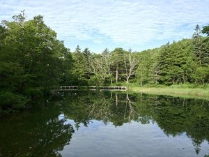 �y���r�z���ꂽ���ɂ͖؁X���Ήf����l�q�����������r�B