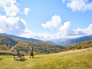 �_�P�J���o��J���}�c���P�������F�̖����̏H�B