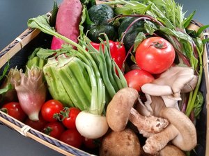 【地元食材】野菜は自家農園で栽培