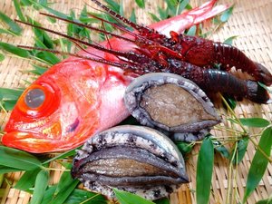 【駿河湾の魚介】新鮮な魚介は沼津港から仕入れています
