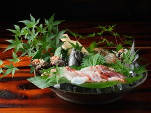 THE KANI YAMANE̎{ݎʐ^1